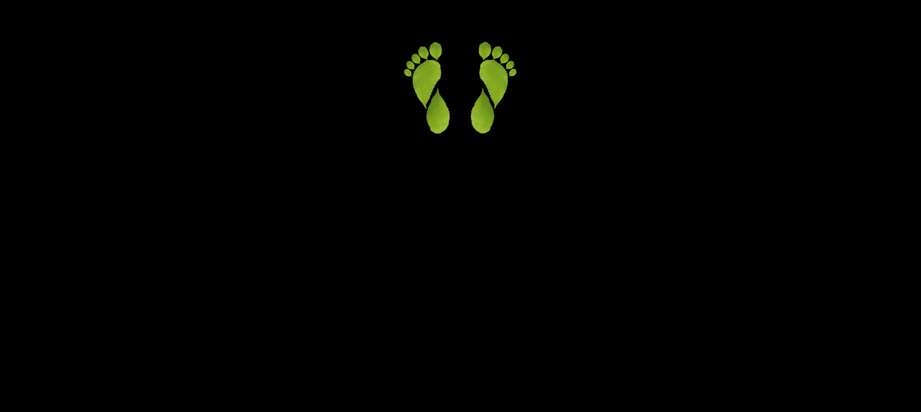 Digital Footprint in Toronto, Canada